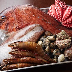 鳴門海峡の複数の海域でたくましく育った徳島産鮮魚