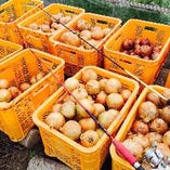 《その１》徳島県自家農家で採れた新鮮野菜を使用