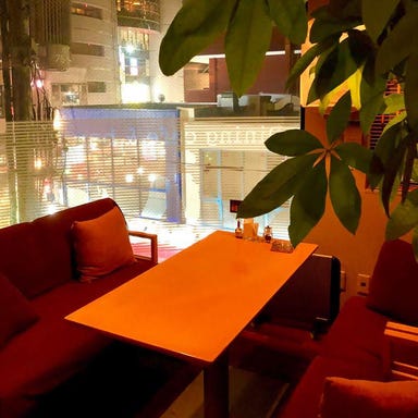 Dining cafe＆bar vivo  店内の画像