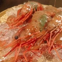 北海道 酒とさかな 通