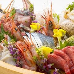 新鮮な北陸の魚をお楽しみください！