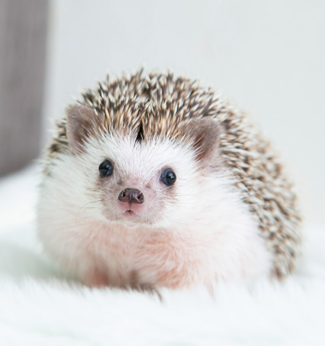 ハリーウッド なんば店 相片 難波 其他咖啡 甜點類 Gurunavi 日本美食餐廳指南 ハリーウッド なんば店 相片 難波 其他咖啡 甜點類 Gurunavi 日本美食餐廳指南