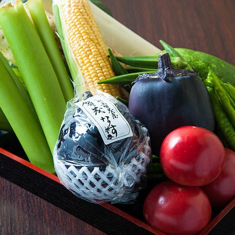 京都産の夏野菜。味わい濃厚。素材本来の美味しさを楽します。