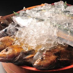 石巻仕入れの新鮮な魚介