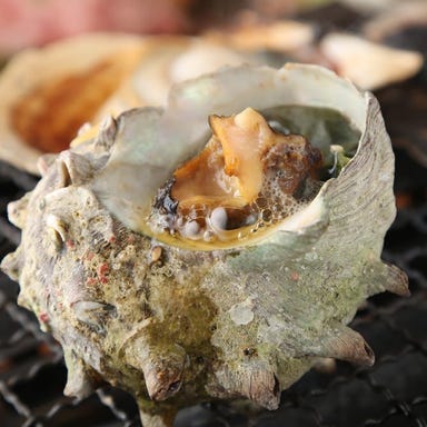 浜焼き酒場 海鮮ぼのぼ  メニューの画像