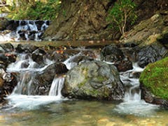 料理旅館 右源太