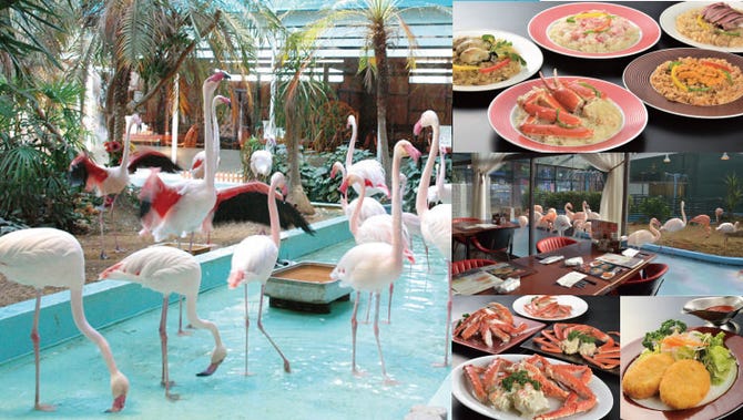 シーフードレストランメヒコ つくばフラミンゴ館 つくば シーフード シーフード料理 ぐるなび