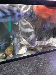 海鮮居酒屋 まちゃど