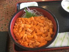 【6月1日～】赤ばふん生うに丼
