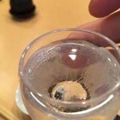 70種類以上の日本酒あります。5尺、1合、大とサイズあります。