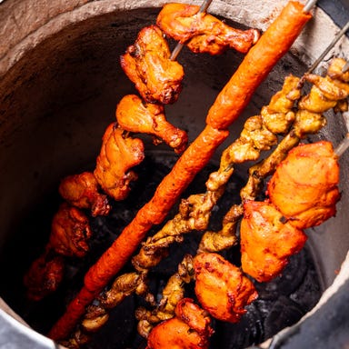 食べ飲み放題アジアンビストロ サラティー 虎ノ門_生ビール付【2H飲放】炭火タンドリーと特製カレー&ナン含『スパイスリッチ』全10品 3,980円