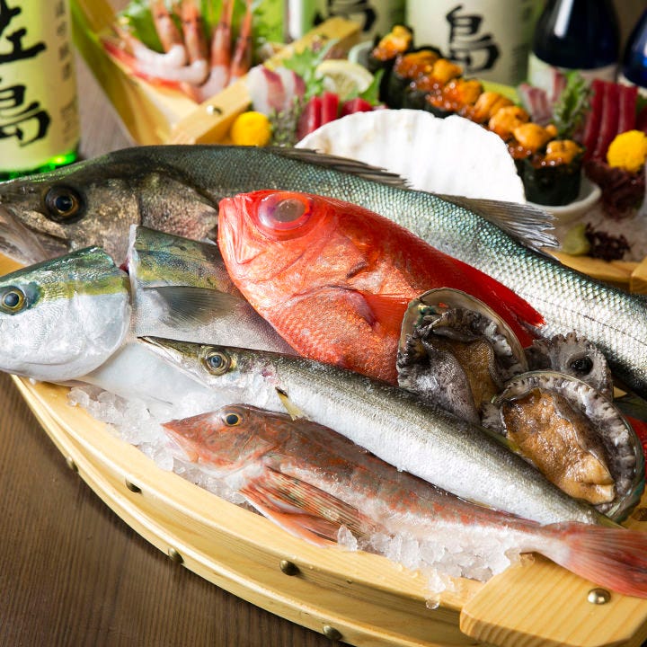 佐島水産の鮮魚が抜群に旨い理由