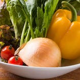 旬のフレッシュ野菜を料理にたっぷり使用