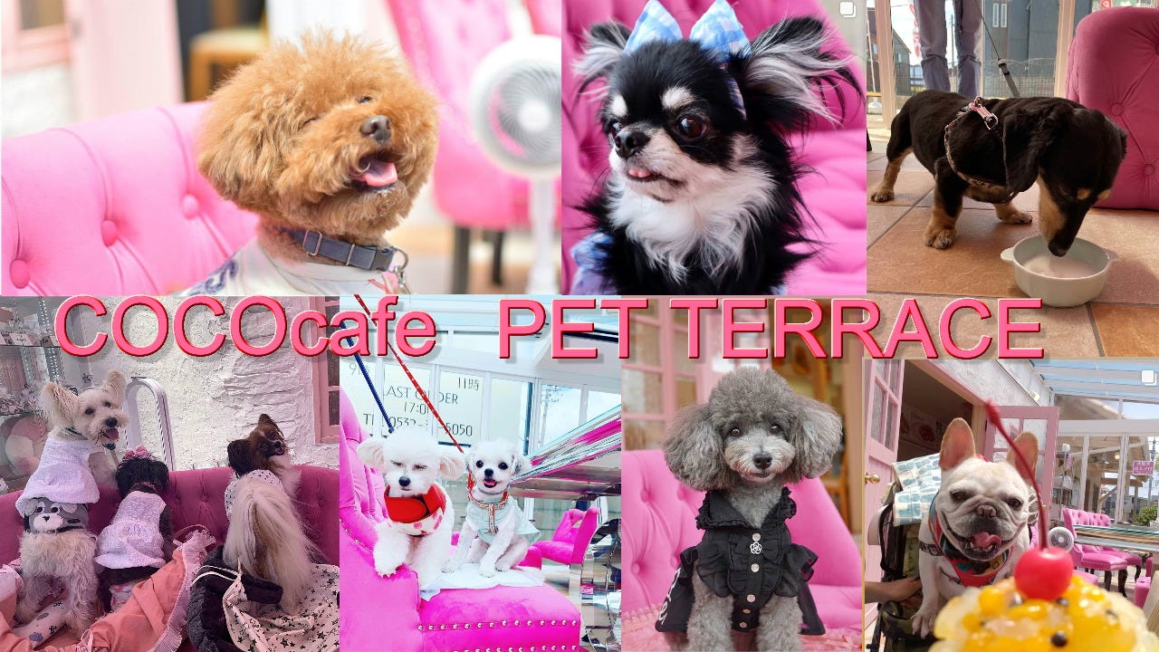 Coco Cafe 弥生店 丰桥 咖啡厅 Gurunavi 日本美食餐厅指南