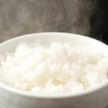 お米は無農薬コシヒカリを使用しています