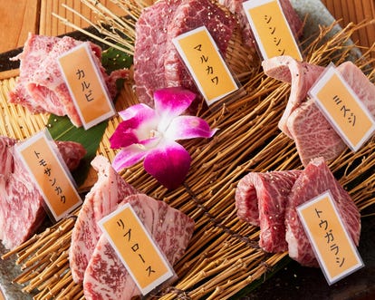 コスパ最高の食べ放題 小山 下野の焼肉でおすすめしたい人気のお店 ぐるなび