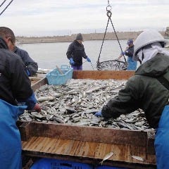 二代目 魚匠 横衛門