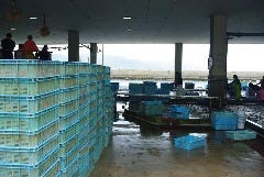 神戸市近郊で獲れた 鮮魚に舌鼓ください！
