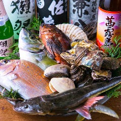 毎朝引き上げられた新鮮な魚は 「熟成魚」「お刺身」どちらも◎