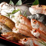 【上越の名品】豊富な食材に恵まれた上越地方の名物は、なんといっても魚。のどぐろ、南蛮海老（甘海老）、いかなど、日本海の海の幸を、料理人が匠の技で調理します。