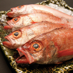 名物・のど黒料理を是非ご堪能くださいませ。