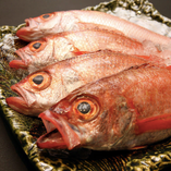 【高級魚】白身のトロ　名物・のど黒料理