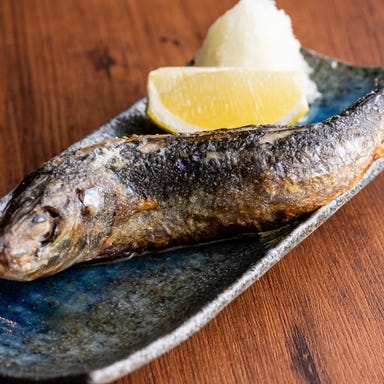 炉端焼き 真 ~Shin~ 横須賀中央店_北海道 大トロいわし