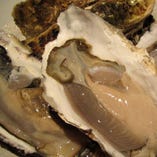 厚岸産の殻付き牡蠣