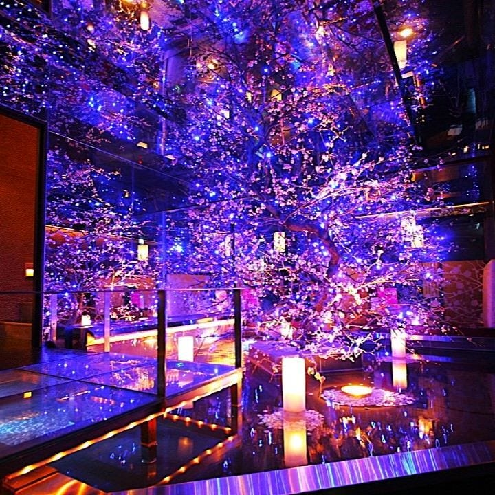 全席個室 ウメ子の家 神戸三宮駅前店