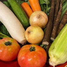 旬の県内産有機野菜を使用