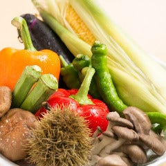 新鮮な野菜・京野菜や旬の食材を豊富に使用