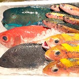 那覇港とまりん直送の琉球鮮魚（主に白身魚）