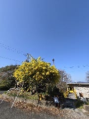 石窯Cafe＆Restaurant さぶろう亭