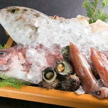 新鮮な旬魚介はお造りやお寿司で提供します。