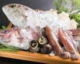 近海漁港から毎朝仕入れの新鮮魚介類【大阪府】