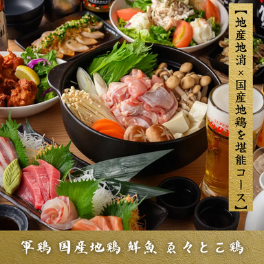 軍鶏 国産地鶏 鮮魚 ゑ々とこ鶏_水炊き×鮮魚の飲み放題付きコースを多数ご用意!