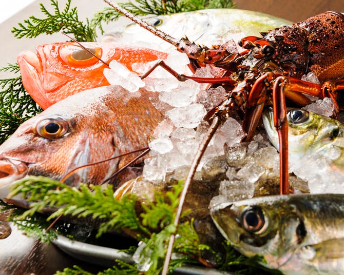 隠れ庵 個室のたわわ 白子駅前店 鈴鹿 居酒屋 ぐるなび