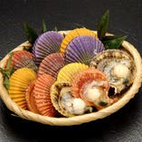 【ヒオウギ貝】
育まれた肉厚な身に濃厚な甘みと潮の香りが絶品の二枚貝
