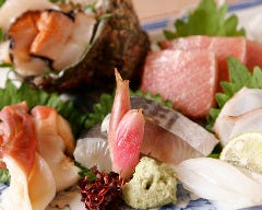 お酒によく合う酒肴がおすすめ！