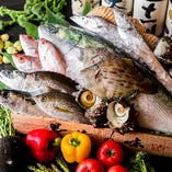 三崎漁港・長井漁港 仲買人直営
とびきり鮮度の良い魚をコースでお楽しみください！