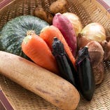 自社農園で丁寧に育てたお野菜や、地元三田の旬野菜をご提供
