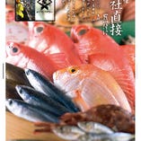 買参権　自社直接買い付けの『産直鮮魚』【北海道】