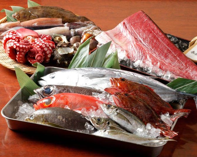 隠れ家個室 鮮魚と地酒 福田家 豊洲本店 豊洲 居酒屋 ぐるなび 隠れ家個室 鮮魚と地酒 福田家 豊洲本店 豊洲 居酒屋 ぐるなび
