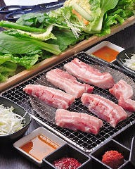 サムギョプサル専門店 北新地 やさい村 元気