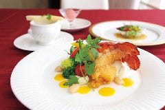 盛り付けにもこだわり、味はもちろん、見た目の華やかさも◎。