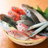 ◆築地から直送した鮮魚【築地から取り寄せた新鮮な鮮魚】