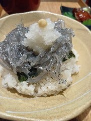 朝どれプリプリの生しらす丼。現地と同じ鮮度でご提供