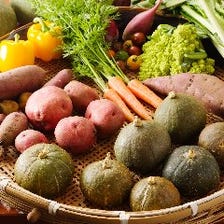 自社農園の無農薬新鮮野菜をご提供！