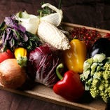 市場から鮮度抜群の季節野菜を仕入れています。さらに一般的なスーパーマーケットには売っていない貴重な野菜も使用！