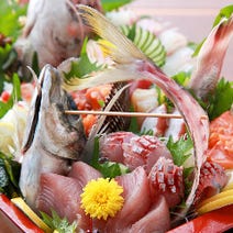 ［居酒屋］錦蔵の画像